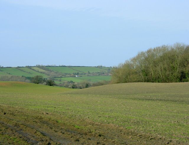 North near Bromley Farm Too early for a mere layman to tell what is being grown in this field. It may have been sown with grass to turn it back into pasture. Stanton Drew and the River Chew are hidden in the valley.