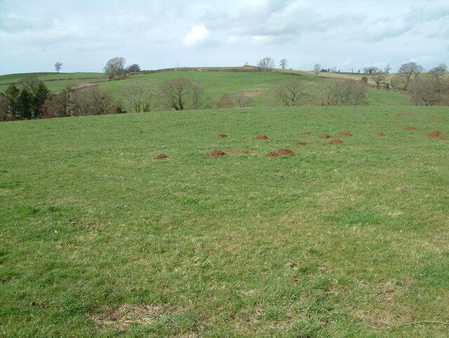 Farmland, Stanton Wick. This is a view from the A368 towards Stanton Wick.