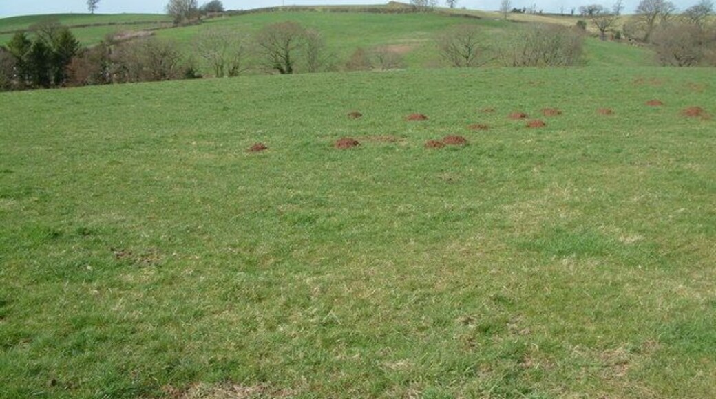Farmland, Stanton Wick. This is a view from the A368 towards Stanton Wick.