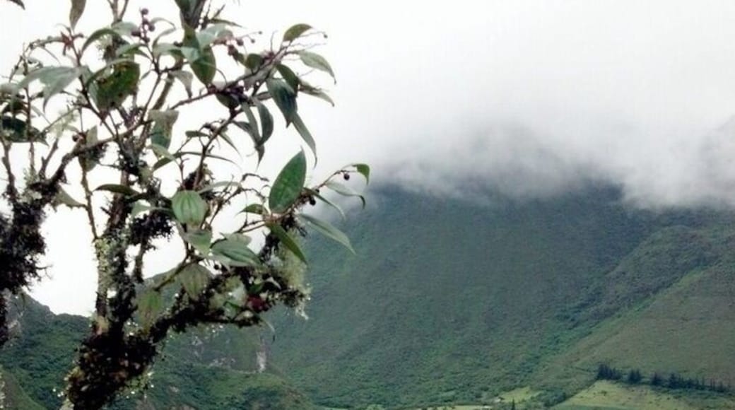 Step outside the restaurant, or look through the windows. The farms are in the crater of a volcano. That erupts occasionally.