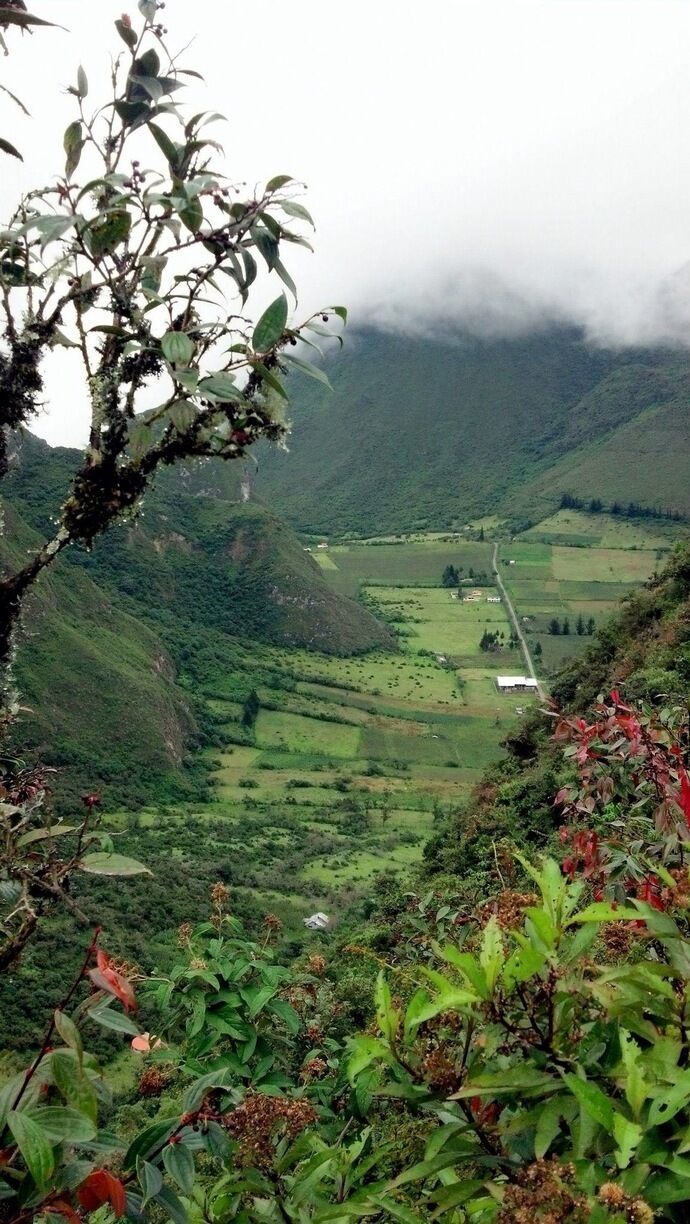 A valley with terraced fields, a winding road, and a small building.