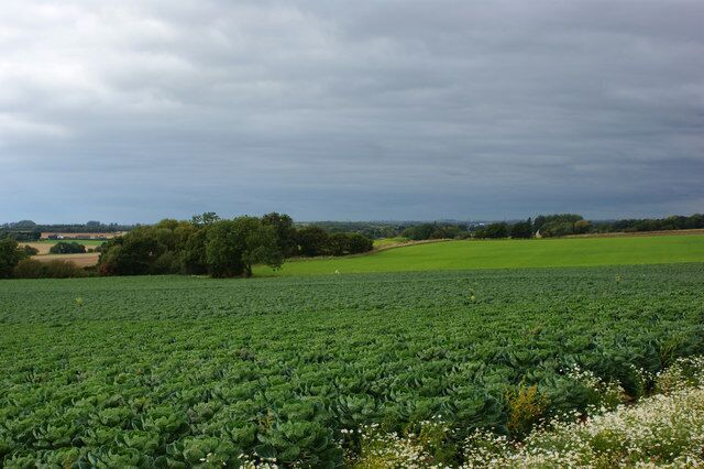 The fields to the south of Billinge Hill from Red Barn Lane