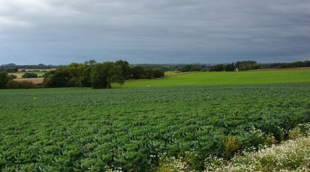 The fields to the south of Billinge Hill from Red Barn Lane