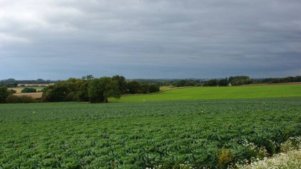 The fields to the south of Billinge Hill from Red Barn Lane