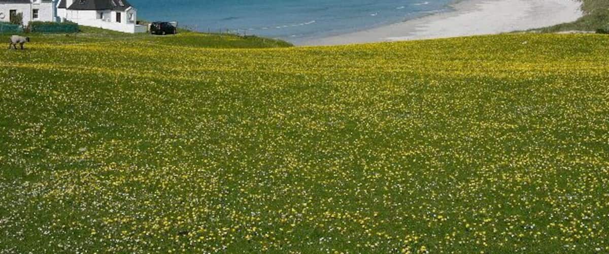 Traigh Bhi, Balephuil Bay, Isle of Tiree, The Hebrides. Looking West from Balephuil village. In the foreground, the famous Hebridean Machair. In the background, (almost) the highest "mountain" on Tiree,(103m)!! Tiree,("The Land Beneath the Waves")