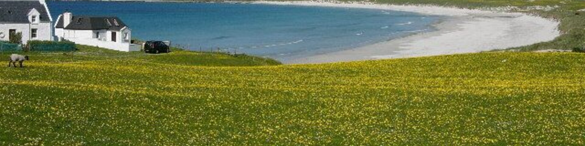 Traigh Bhi, Balephuil Bay, Isle of Tiree, The Hebrides. Looking West from Balephuil village. In the foreground, the famous Hebridean Machair. In the background, (almost) the highest "mountain" on Tiree,(103m)!! Tiree,("The Land Beneath the Waves")