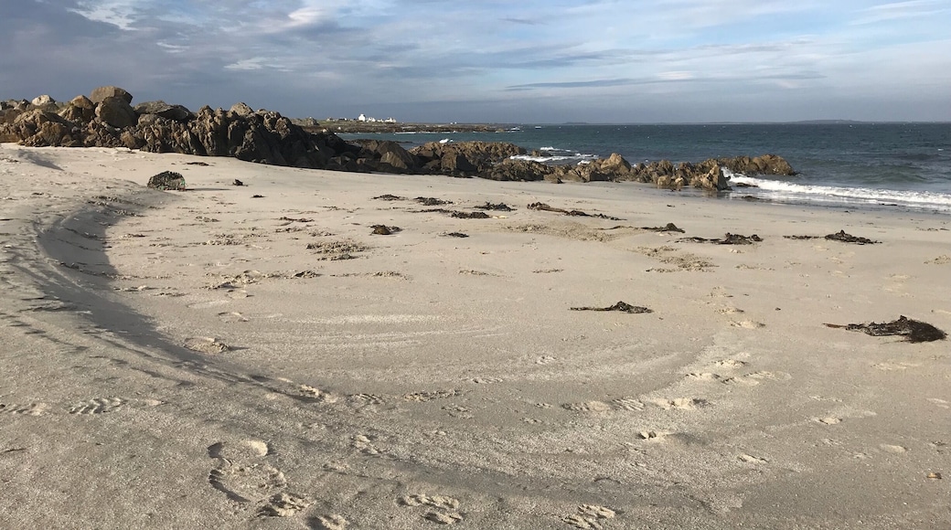 Hynish - looking North
September 2017