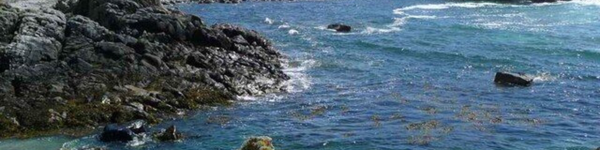 Una costa rocosa con olas rompiendo contra las rocas.