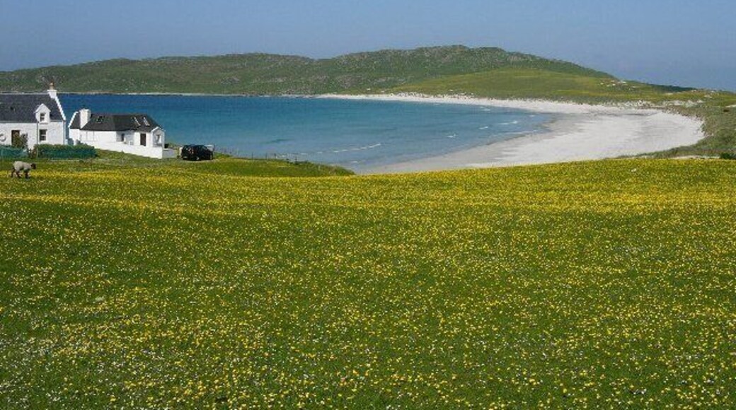 Traigh Bhi, Balephuil Bay, Isle of Tiree, The Hebrides. Looking West to Balephuil Bay, across the famous Hebridean Machair.
