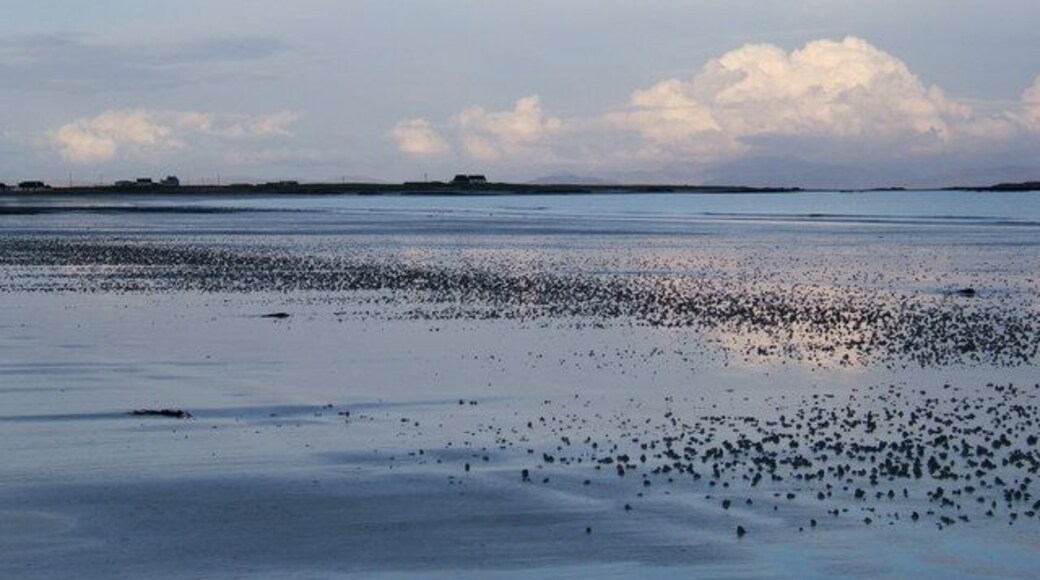 View over Gott Bay towards Brock (at twilight), Tiree