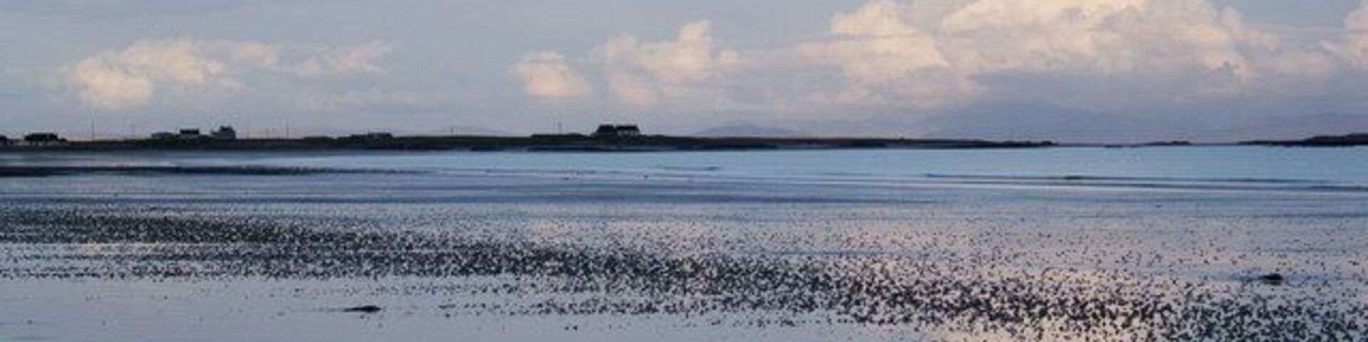 View over Gott Bay towards Brock (at twilight), Tiree