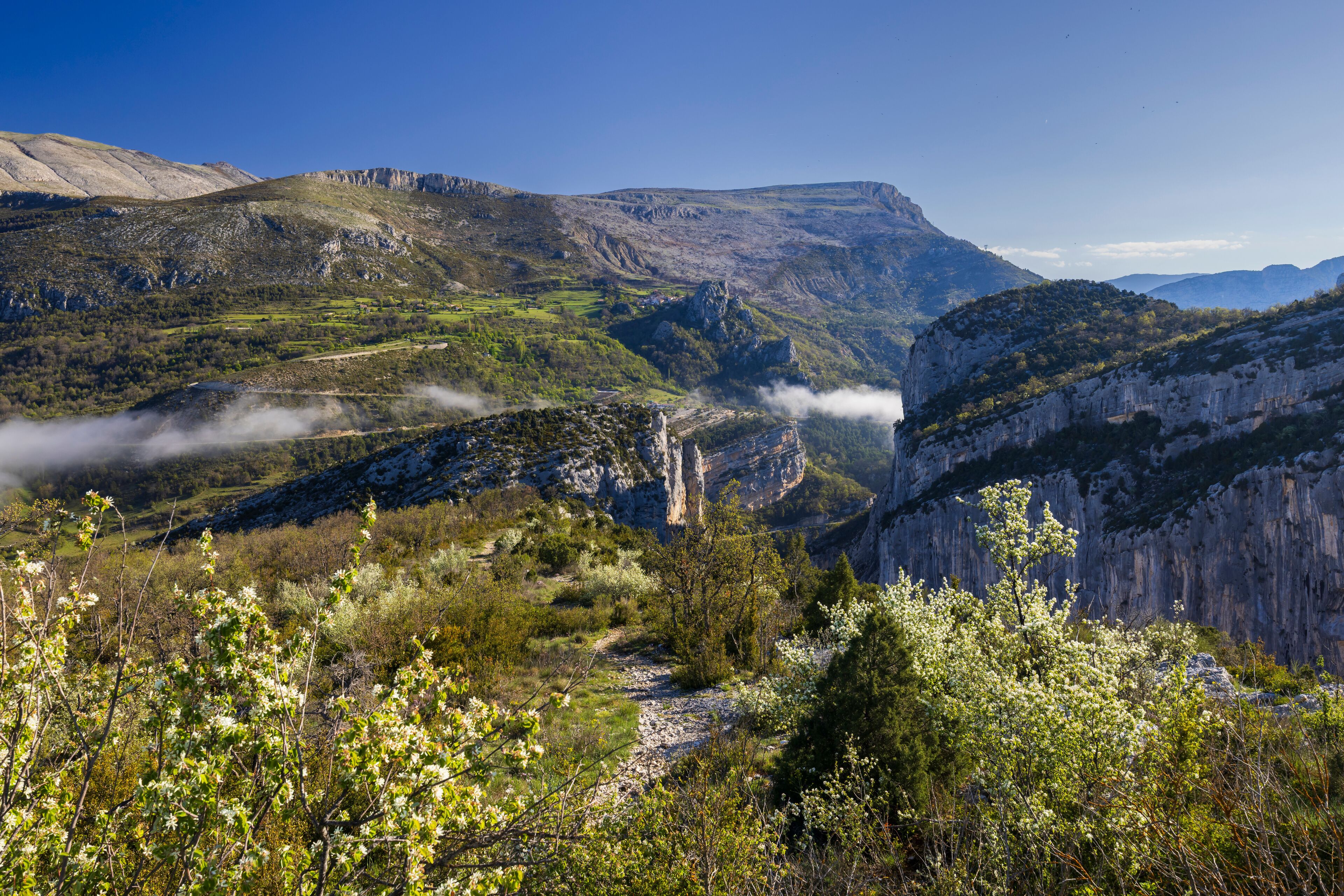 Fog filling Verdon Gorge in spring, France