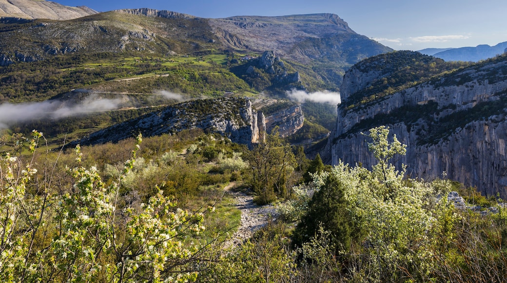 Fog filling Verdon Gorge in spring, France