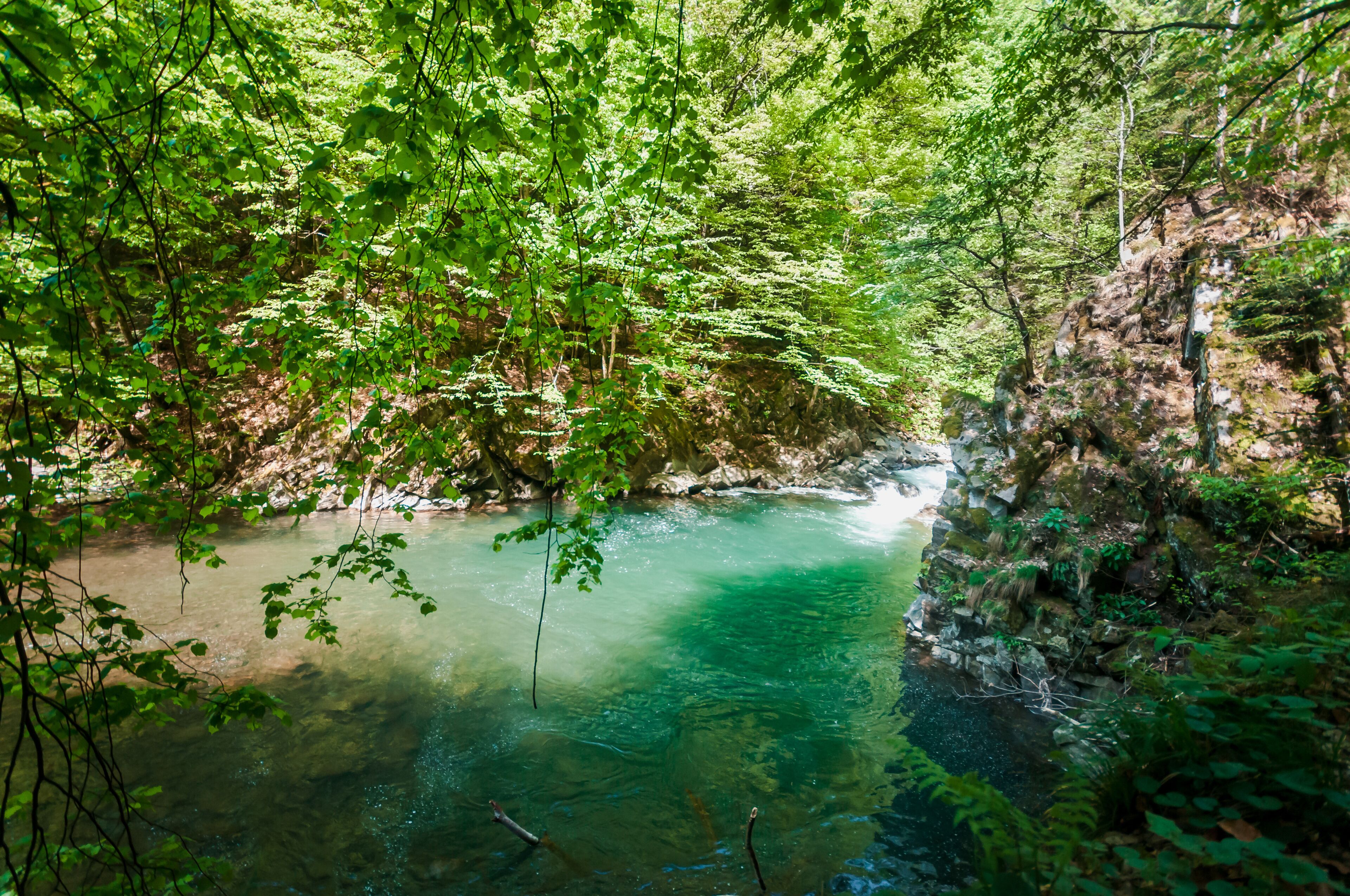 Blue Lagoon, mountain river among the rocks in the forest