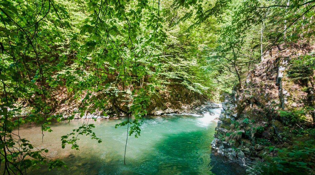 Blue Lagoon, mountain river among the rocks in the forest