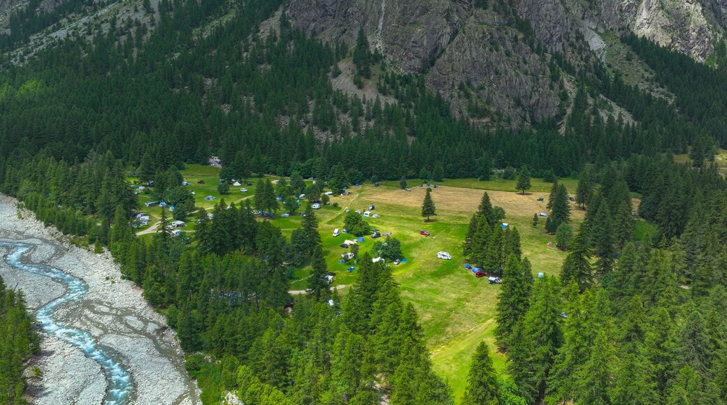 AERIAL: Forest clearing in a mountain valley filled with tents and RVs. Beautiful campsite, surrounded by dense pine trees and high rocky cliffs offers a serene retreat in natural alpine environment.