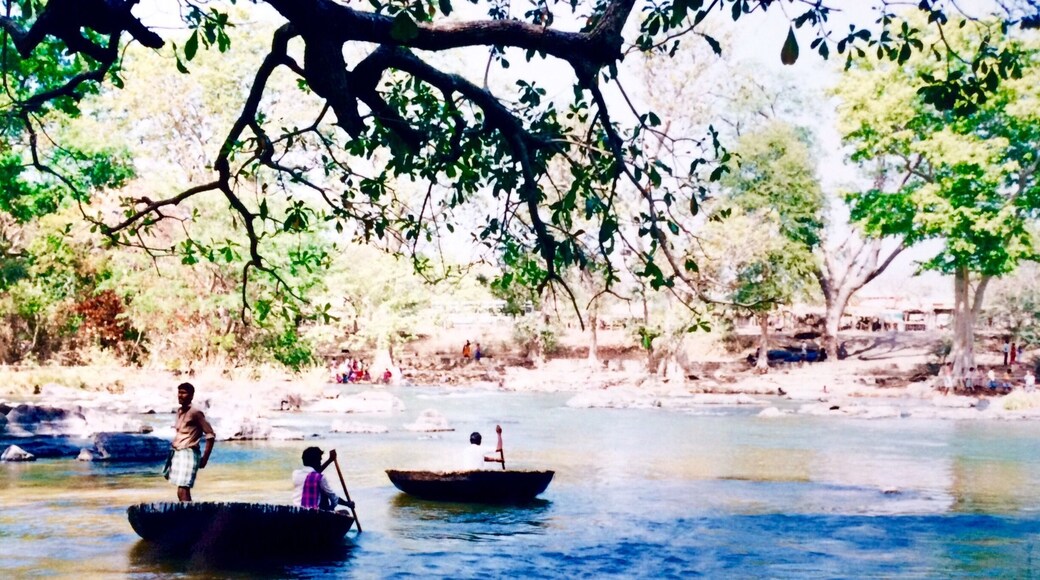 A ride in one of these coracles was great fun but they do seem very flimsy for the amount of people that climb in. Also they leak! Ended up with wet bottoms! Watch out for any graduates from the Crocodile Rehabilitation Centre!!