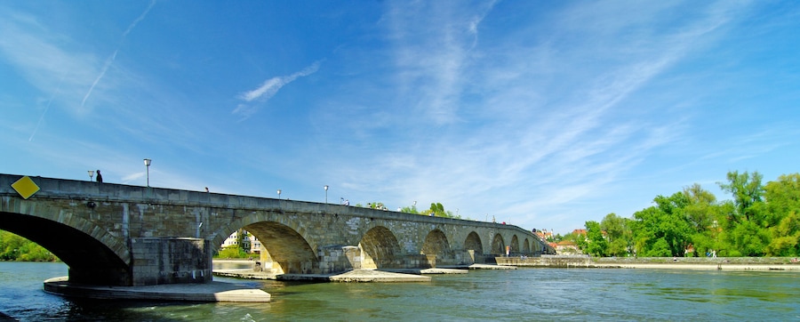 Uma ponte de pedra com várias arcadas sobre um rio, cercada por vegetação e edifícios ao fundo.