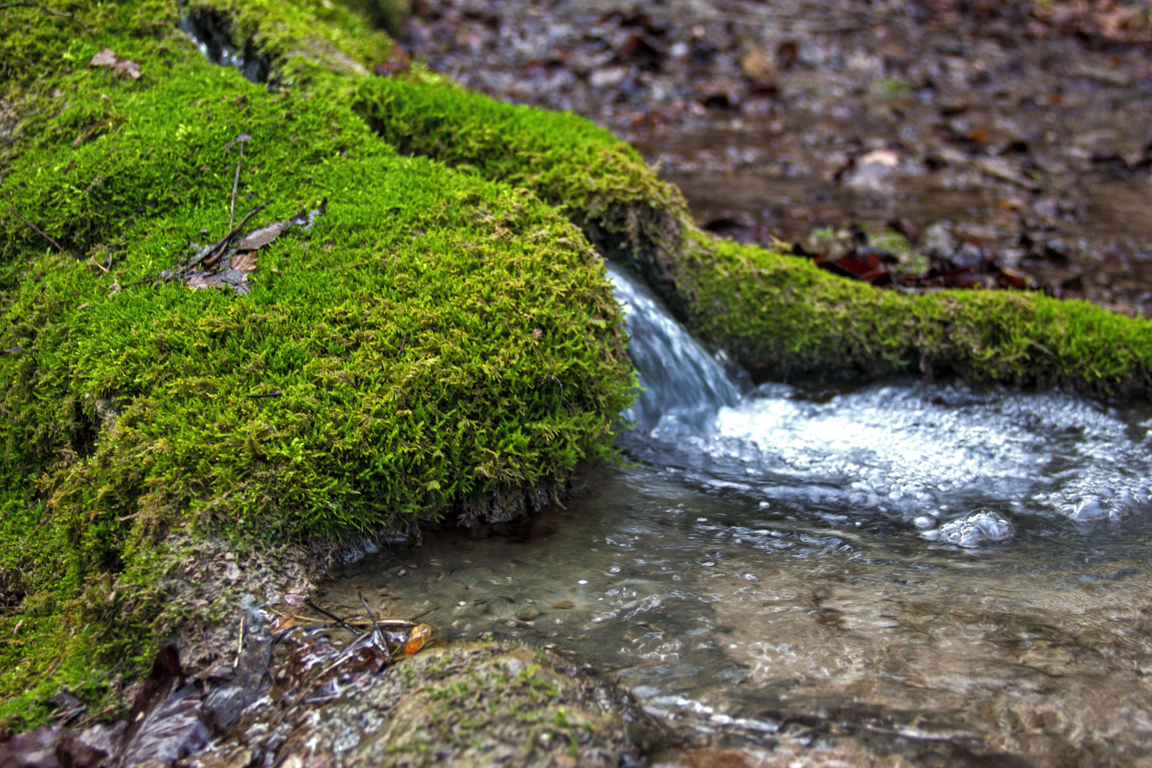 Steinerne Rinne, Erasbach, Berching
