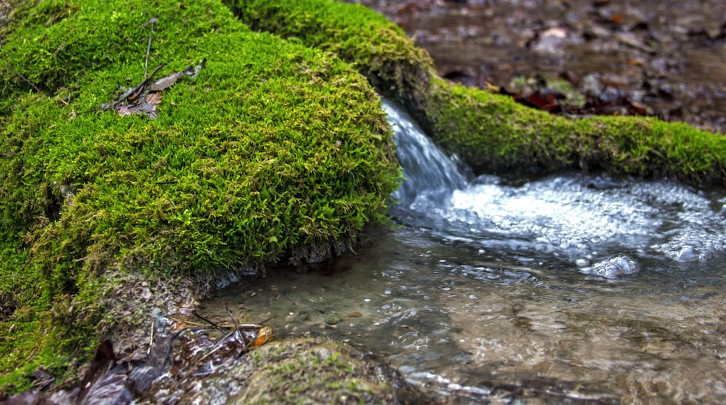 Steinerne Rinne, Erasbach, Berching