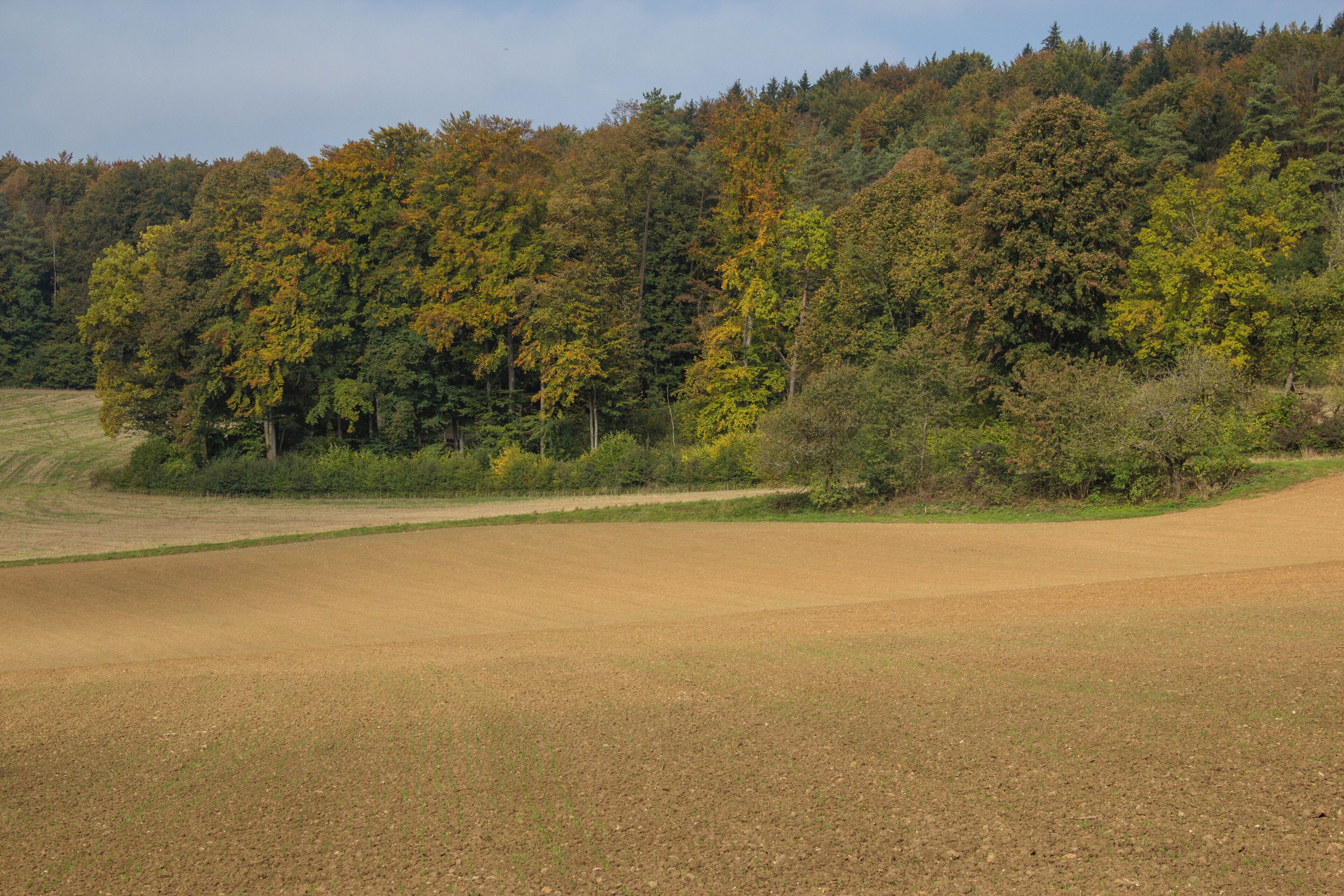 Heuchling, Pommelsbrunn, LSG Ausweisung des LSG Nördlicher Jura