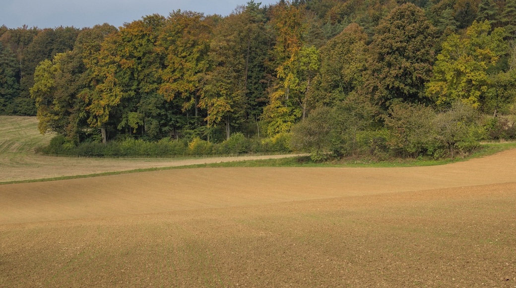 Heuchling, Pommelsbrunn, LSG Ausweisung des LSG Nördlicher Jura