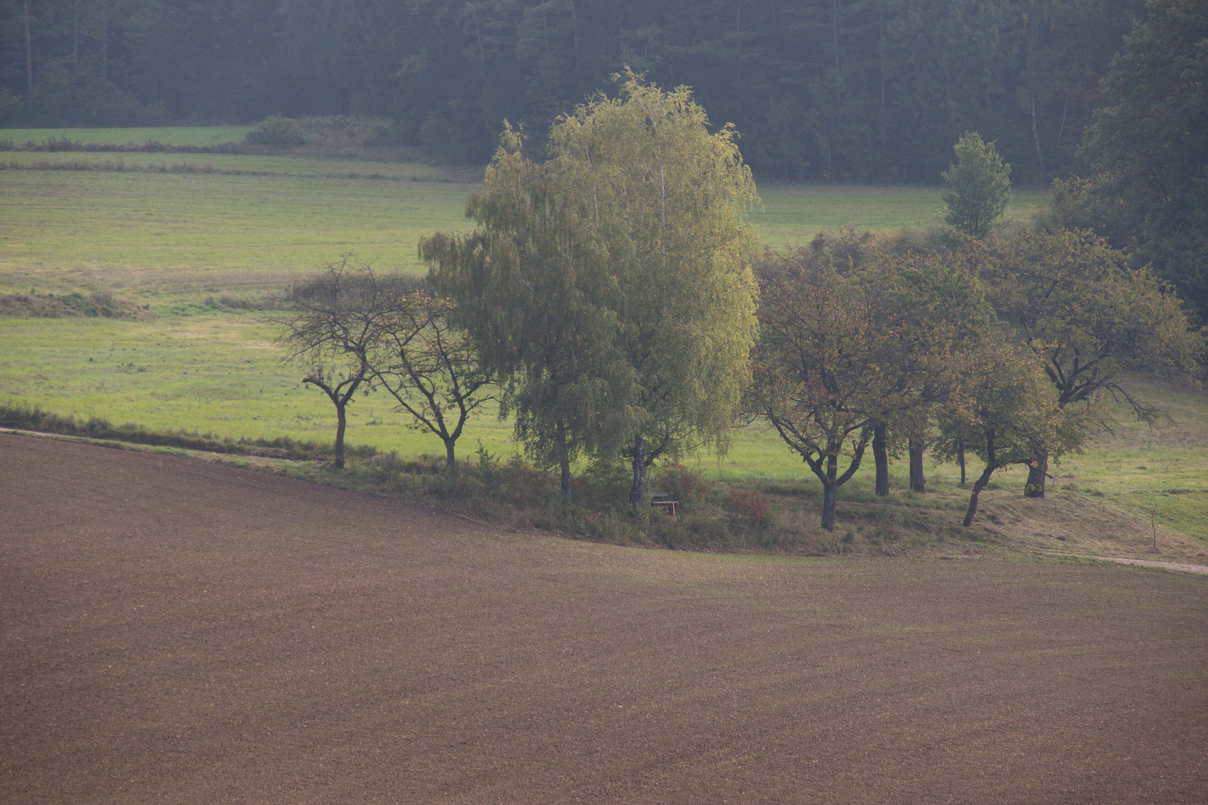 Heuchling, Pommelsbrunn, LSG Ausweisung des LSG Nördlicher Jura