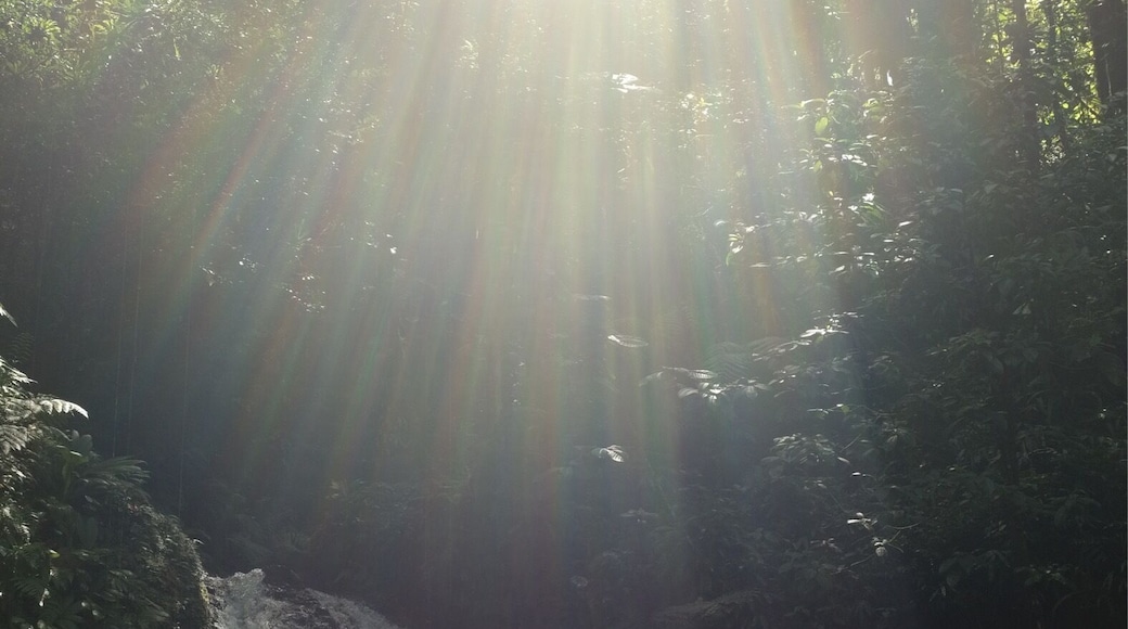 Waterfall with the sun shining through.