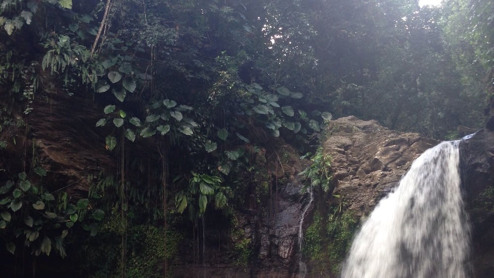 Ma piscine ❤❤❤