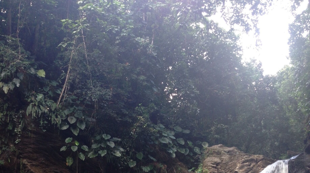 Ma piscine â€â€â€