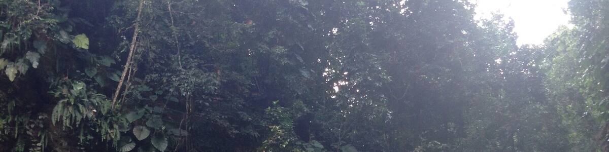 Ma piscine ❤❤❤