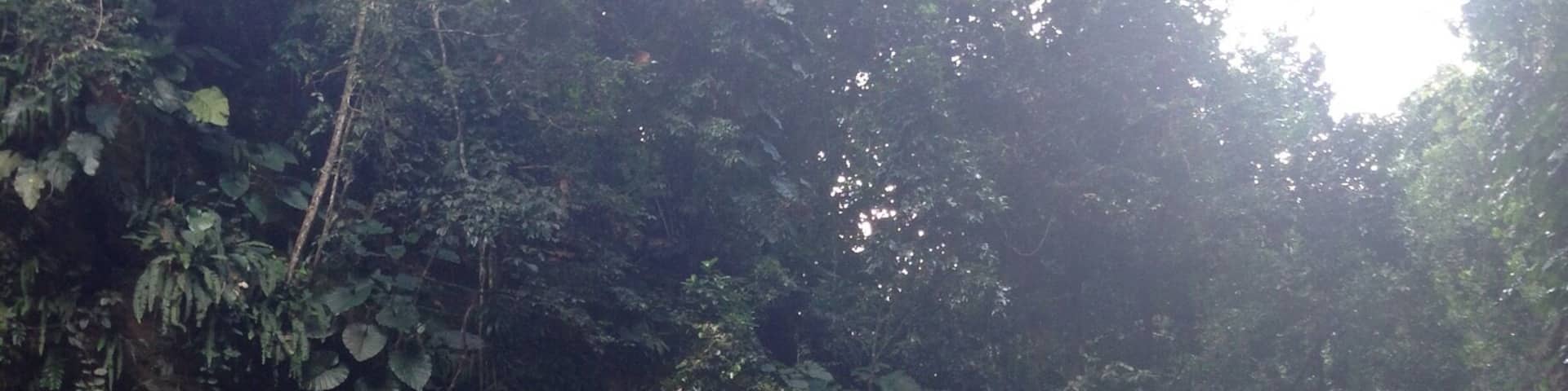 Ma piscine â€â€â€