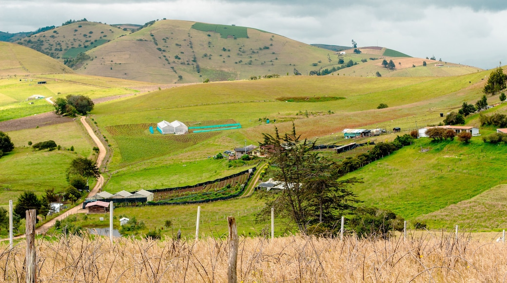 Beautiful Colombian rural landscape in Choconta, Cundinamarca, Colombia. The picture shows crops and greenhouses.