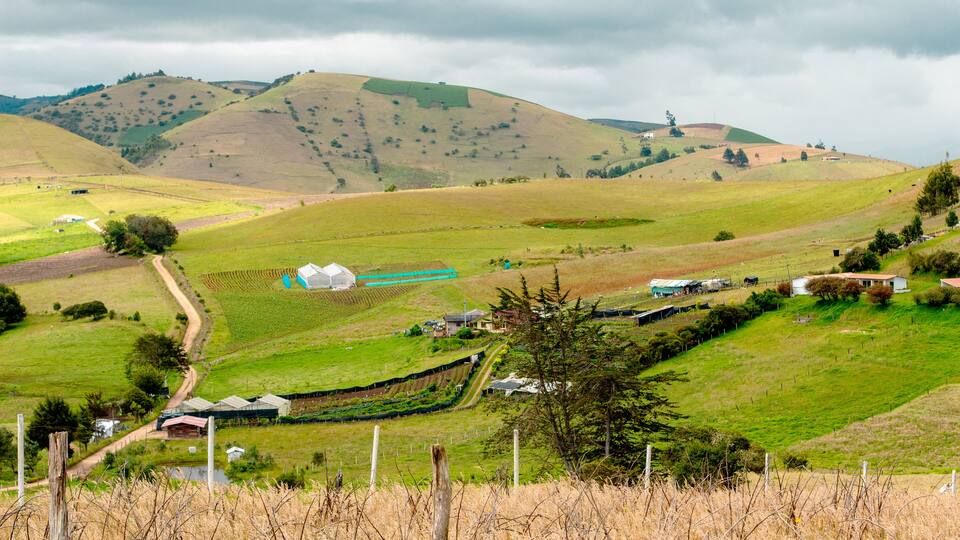 Beautiful Colombian rural landscape in Choconta, Cundinamarca, Colombia. The picture shows crops and greenhouses.