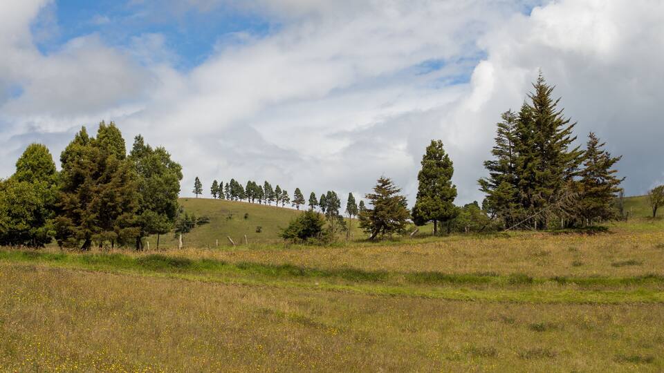 Beautiful rural Colombian landscape in Choconta (in the Andean Cordillera). Blue sky with white clouds. The pictures shows green hills, trees and a meadow with flowers. Cundinamarca, Colombia.