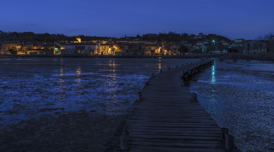 Peyriac-de-Mer, Aude, France. View from the former salt ponds by night.
