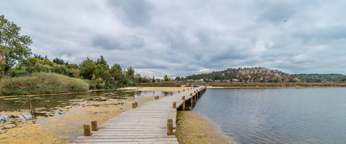 A wooden pier extending into a lake with surrounding vegetation and a cloudy sky.