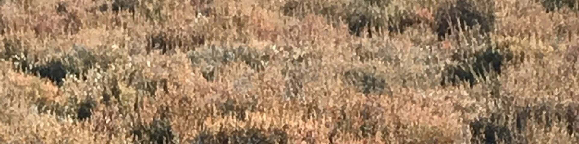 Peyriac-de- Mer is a stunner and displays an incredible amount of wild and raw nature and occasionally you can spot flamingos on your drive from one fisherman’s village to the other- between Bages and Peyriac-de-Mer