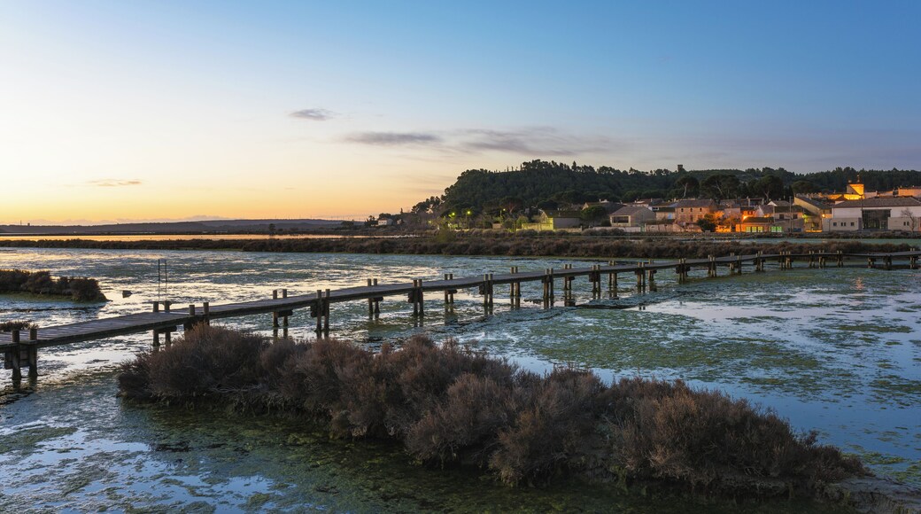 Peyriac-de-Mer - Aude, France