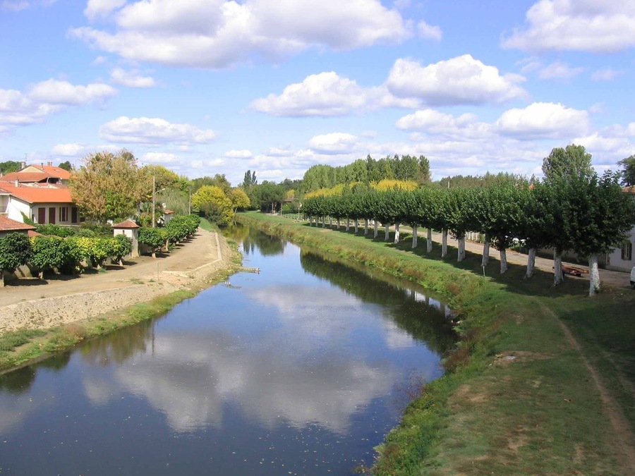 Un río tranquilo con una hilera de árboles en una orilla y casas en la otra.