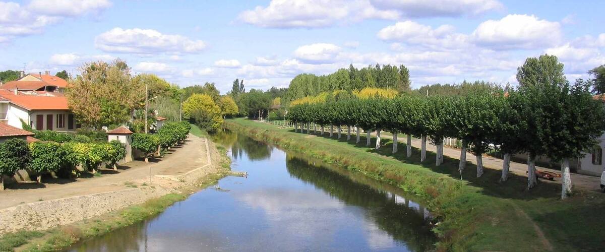 A calm river with a row of trees on one side and houses on the other.