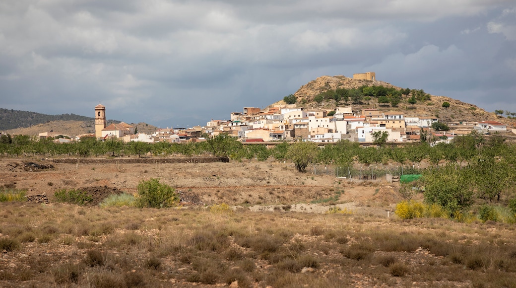 view of Dolar town on a cloudy day, province of Granada, Andalusia, Spain