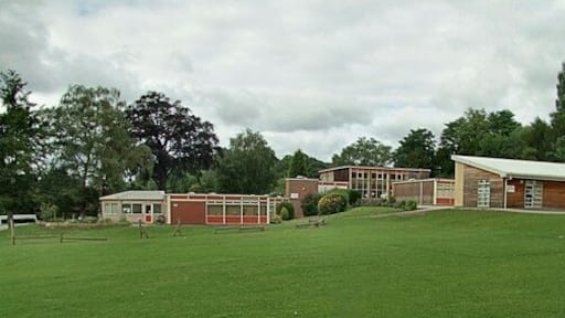 The School from Willow Wong