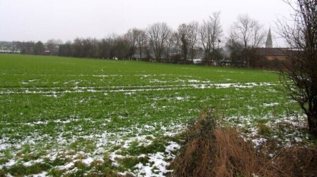 Fields Alconbury St Peter and St Paul visible in the background