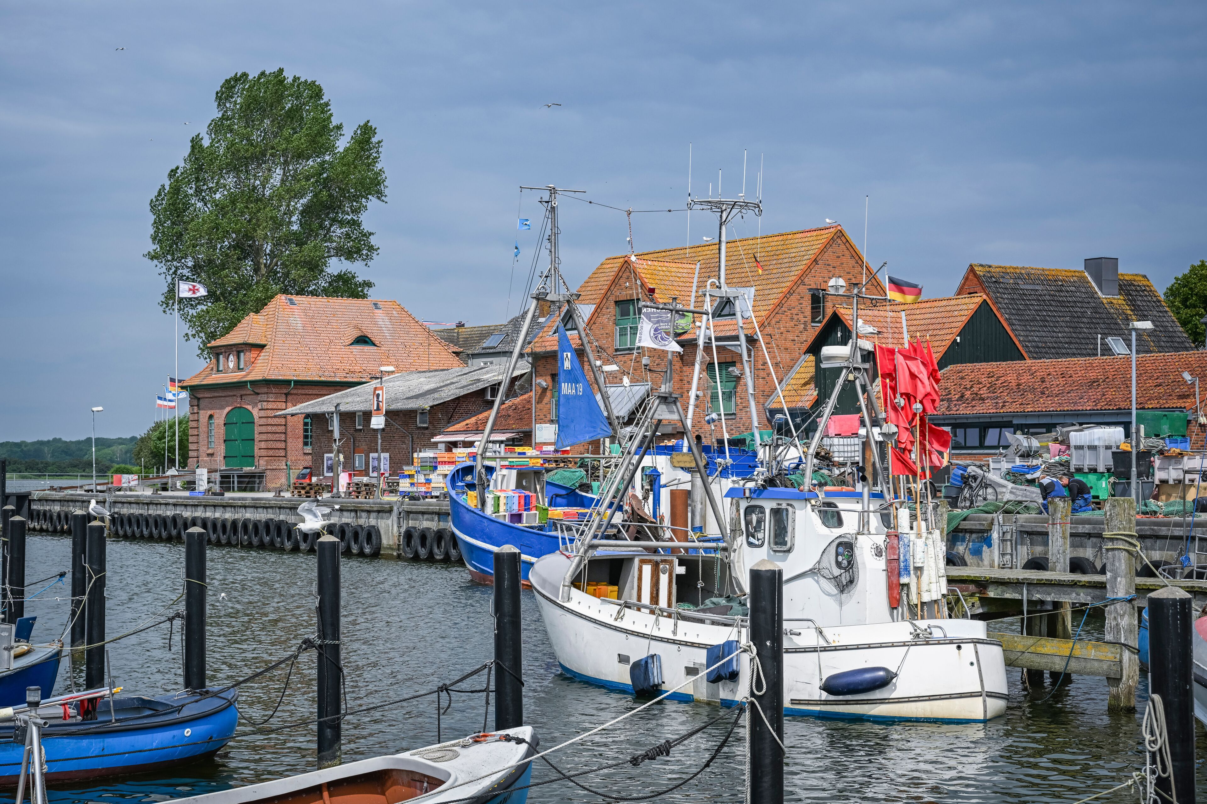 A harbor with boats docked, a brick building, and a tree.