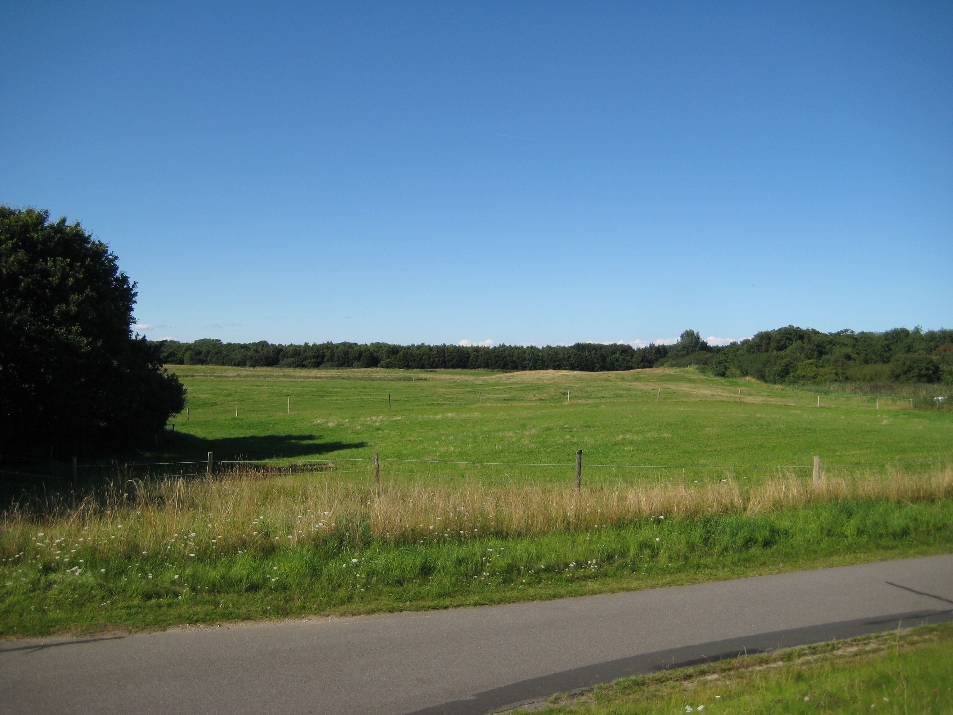Zufahrt zum Naturerlebnisraum Maasholm, einer ehemaligen Raketenstellung der Bundeswehr. Diese Bilder dienen als Grundlage einer Panoramaübersicht.