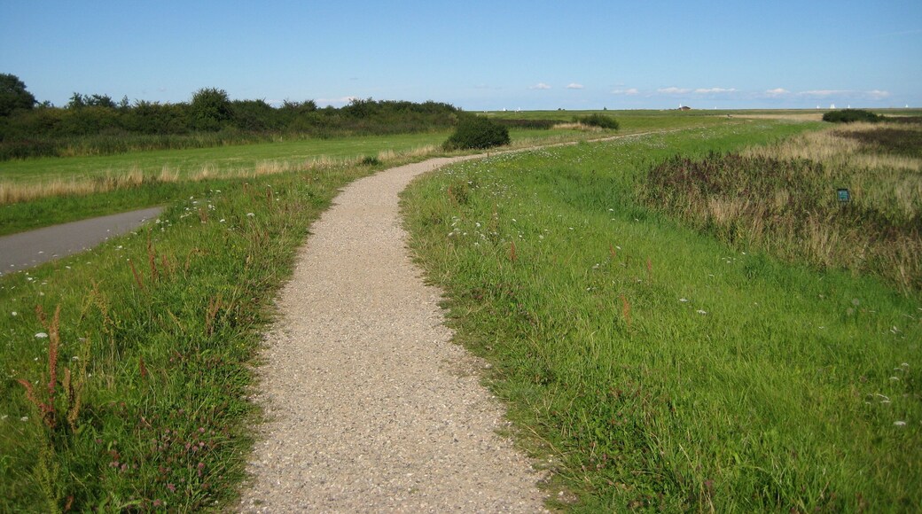 Zufahrt zum Naturerlebnisraum Maasholm, einer ehemaligen Raketenstellung der Bundeswehr. Diese Bilder dienen als Grundlage einer Panoramaübersicht.