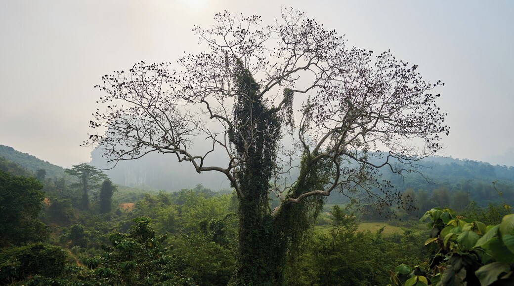 Hiking in Muang Ngoy, Laos #Green #lifeatexpedia