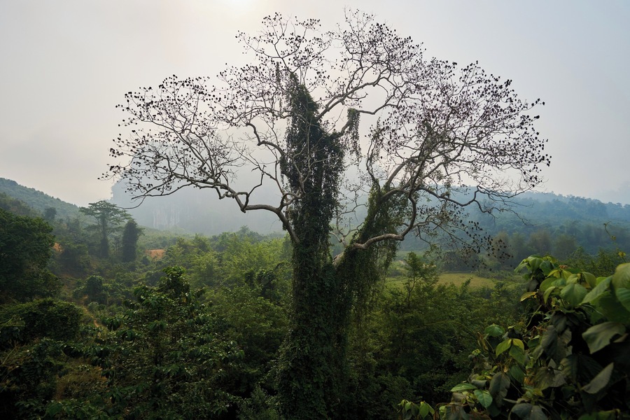 Hiking in Muang Ngoy, Laos #Green #lifeatexpedia