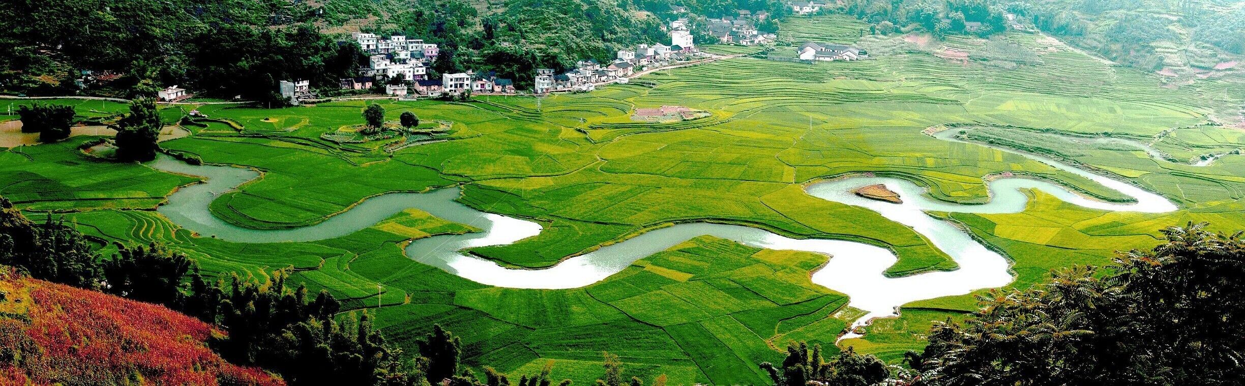 Terraced rice fields with winding water channels.